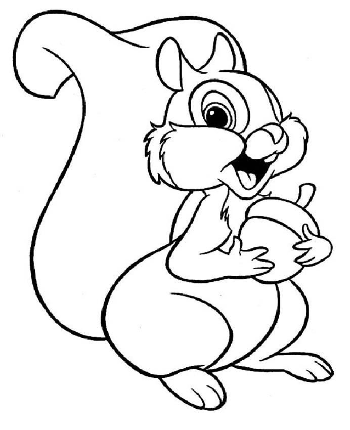 692x850 Free Printable Squirrel Coloring Pages For Kids Squirrel, Rock