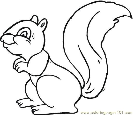 550x478 Squirrel (3) Coloring Page