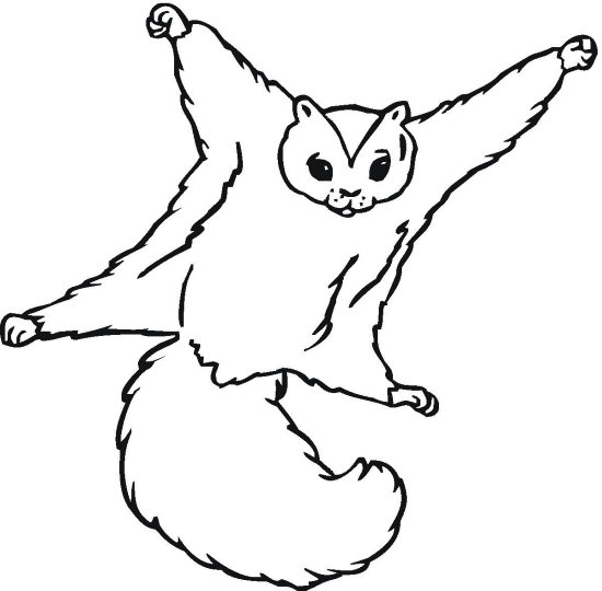 550x540 Squirrel Coloring Page