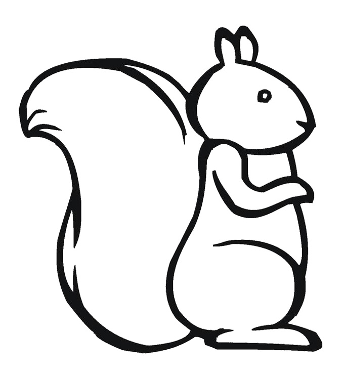 680x743 Squirrel Coloring Page For Kids Pattern Design Ideas