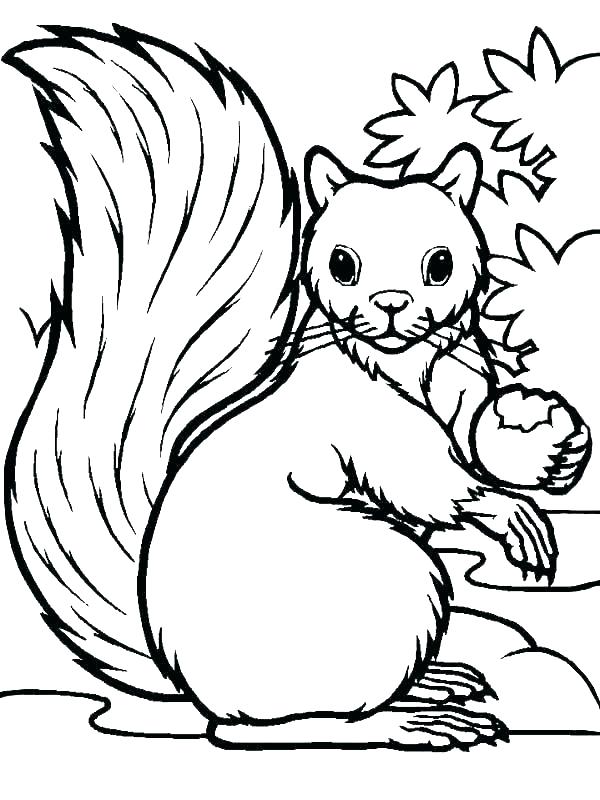 600x800 Scaredy Squirrel Coloring Pages