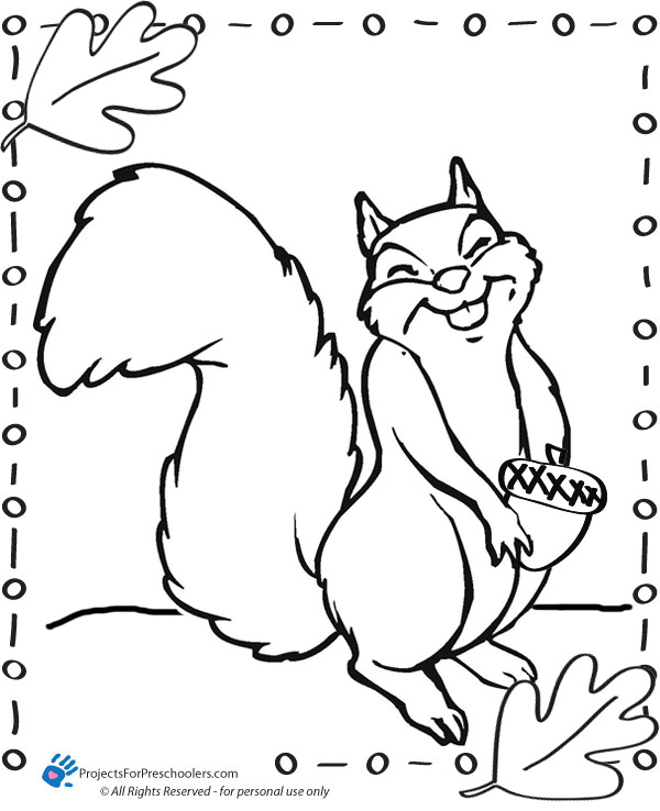 600x738 Squirrel