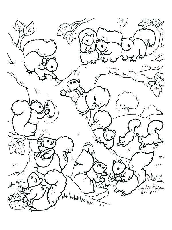 600x800 Squirrel Coloring Page Free Printable Coloring Pages Squirrel