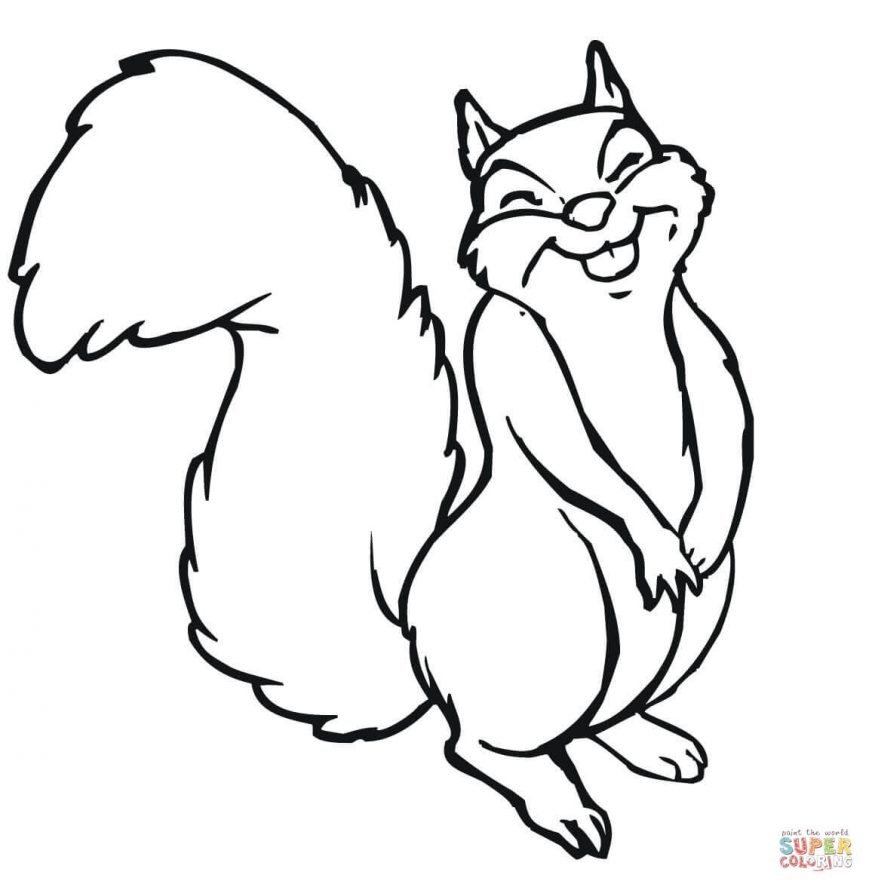 869x887 Squirrel Coloring Page Pictures High Def Pages Cute Baby Colouring