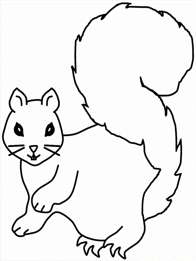 Squirrel Coloring Pages Printable