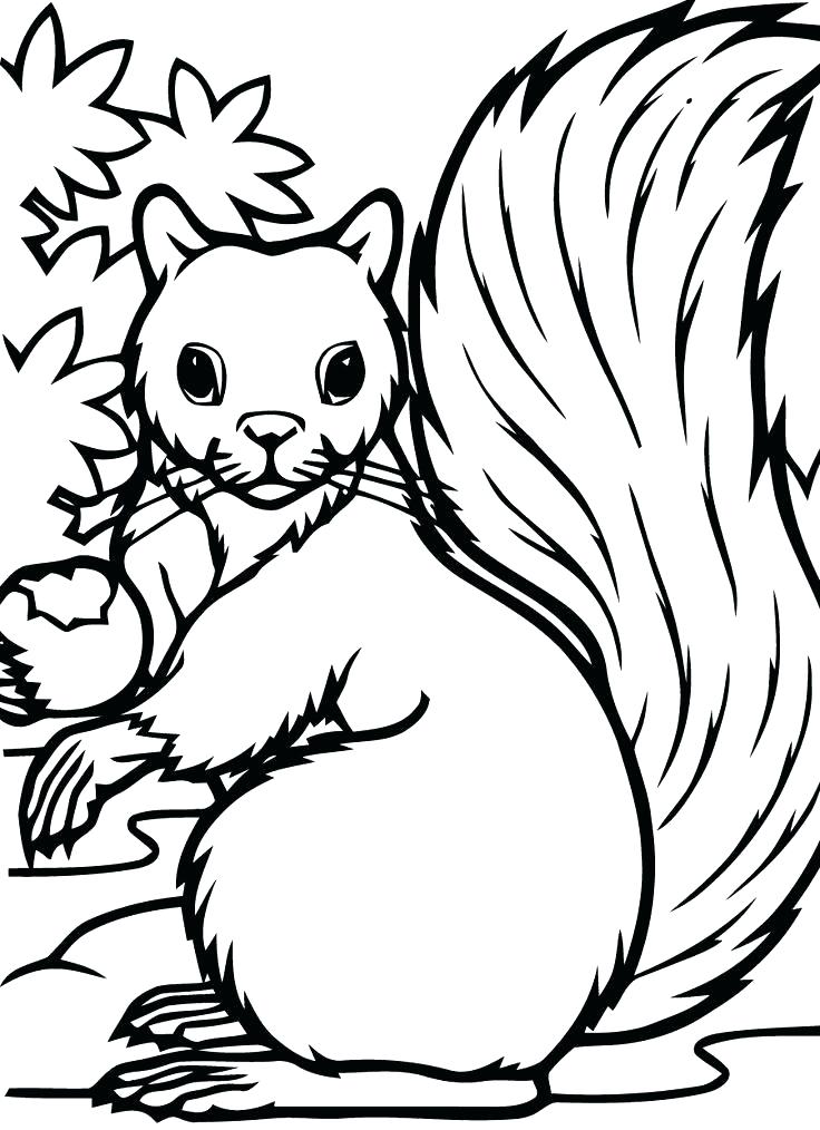 736x1014 Fall Coloring Pages Printables Fall Coloring Pages