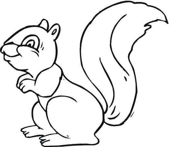 550x478 Squirrel Coloring Page Inspirational Squirrel 3 Free Printable