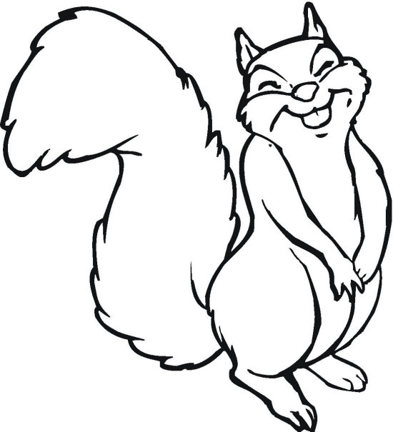 550x605 Squirrel (8) Free Printable Squirrel Coloring Pages