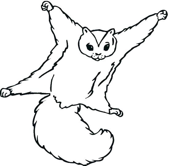 550x540 Coloring Pages Of Squirrels Entertaining Squirrel Coloring Pages