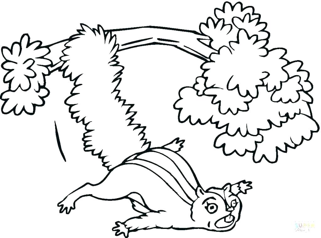 1024x760 Coloring Pages Of Squirrels Two Baby Squirrel Coloring Page