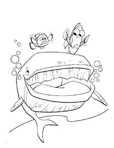 371x480 Finding Coloring Pages Squirt From Finding Coloring Page Finding