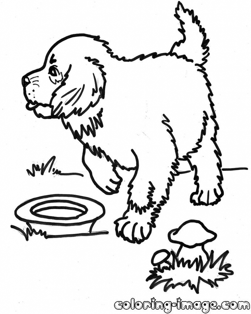 819x1024 Saint Bernard Coloring Pages Collection Coloring For Kids 2018