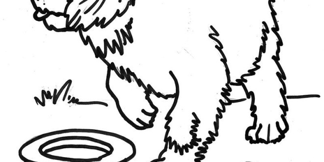 660x330 Saint Bernard Puppy For A Walk Free Coloring Pages For Kids