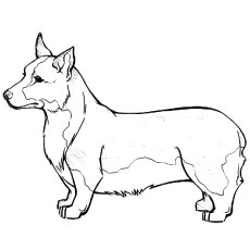 230x230 Top 25 Free Printable Dog Coloring Pages Online