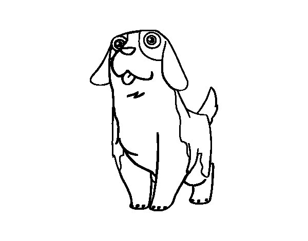 600x470 Young St. Bernard Coloring Page