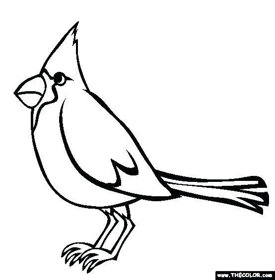 554x565 St Louis Rams Coloring Pages St Cardinals Coloring Pages This Is