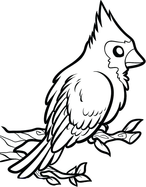St Louis Cardinals Coloring Pages