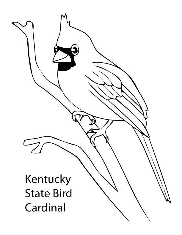 612x792 Cardinal Coloring Pages Coloring Sunflowers And Blue Jay Bird