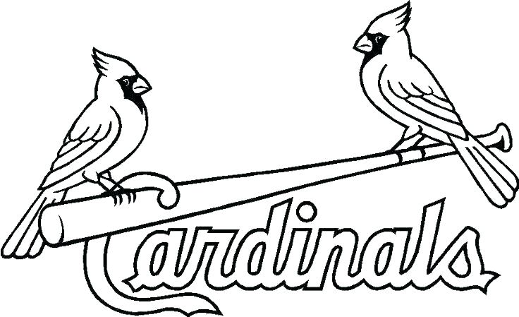 736x449 St Louis Cardinals Coloring Pages Cardinal Coloring Pages Cardinal