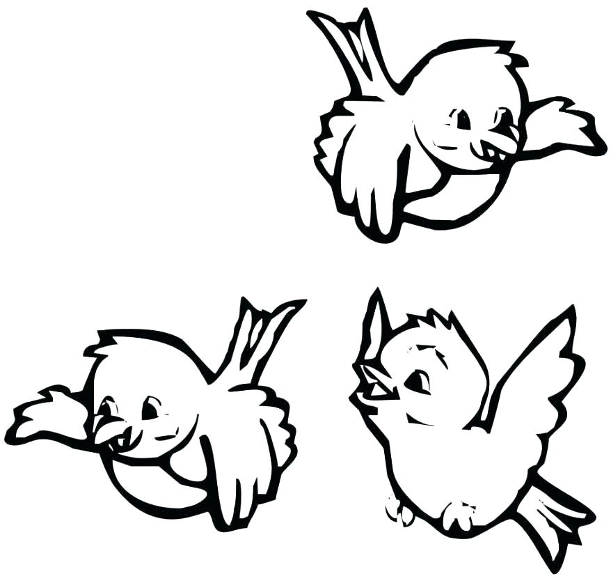 878x837 St Louis Coloring Pages St Louis Cardinals Coloring Pages Fredbird