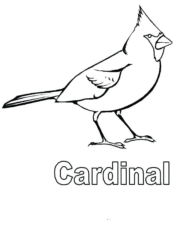 600x800 St Louis Cardinals Coloring Pages