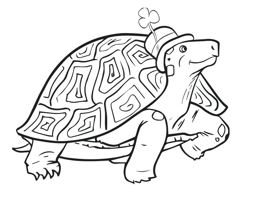 858x640 St Patricks Coloring Pages St Day Coloring Pages St Patrick