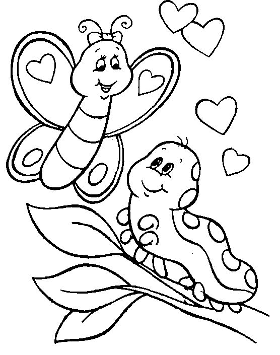 556x705 The Weird Pre Butterfly Stage Caterpillar 20 Caterpillar Coloring