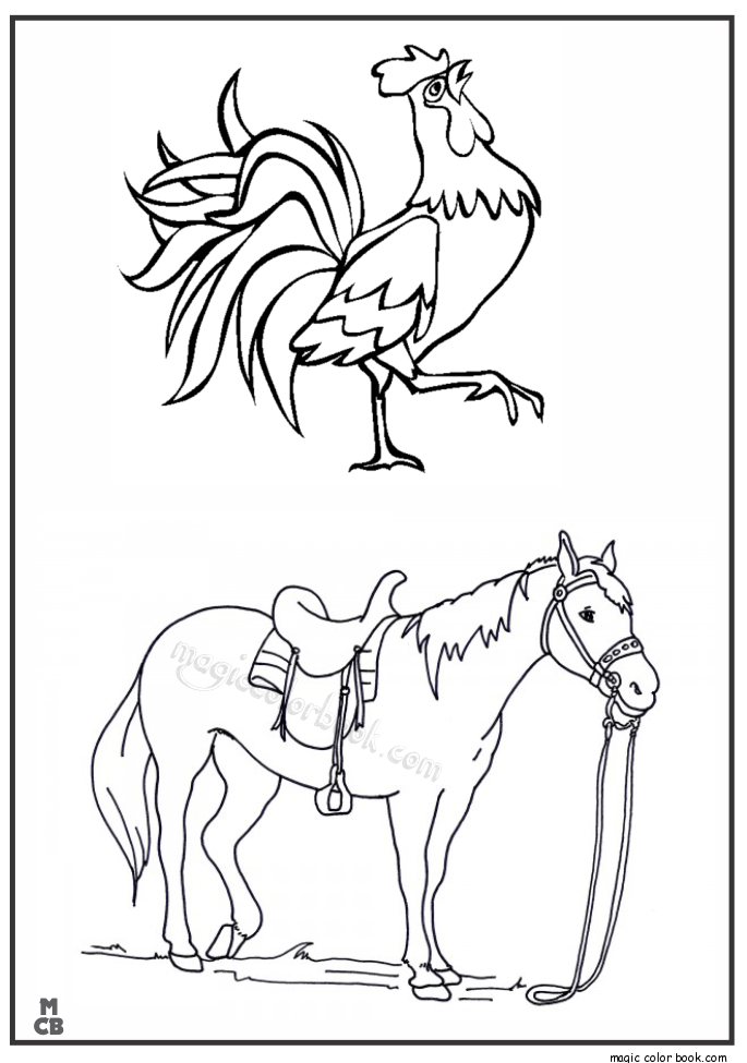 685x975 Animal Coloring Book Pages Horse Hen