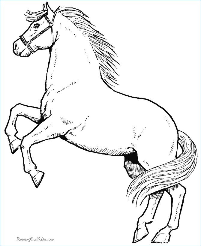 670x820 Little Girl Riding Horse Animal Coloring Pages