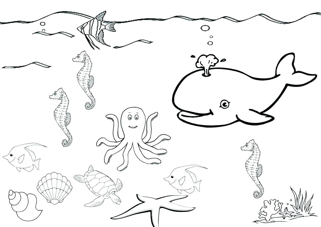 1024x723 Seaweed Colouring Sheets Under Sea Coloring Pages Under
