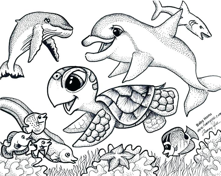 724x576 Starbucks Coloring Page Sea Turtle Coloring Sheets Collection