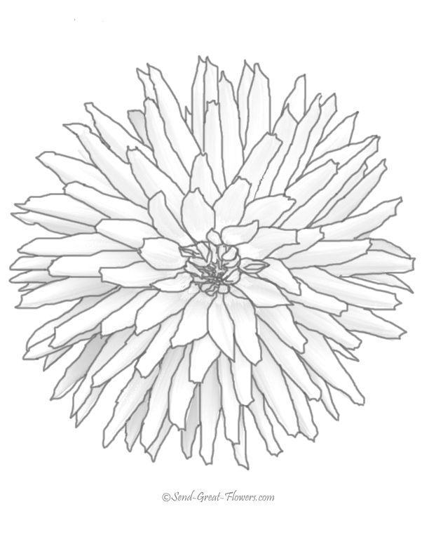 612x792 250 Best Coloring Pages Flowers Leaves Gardening Spring