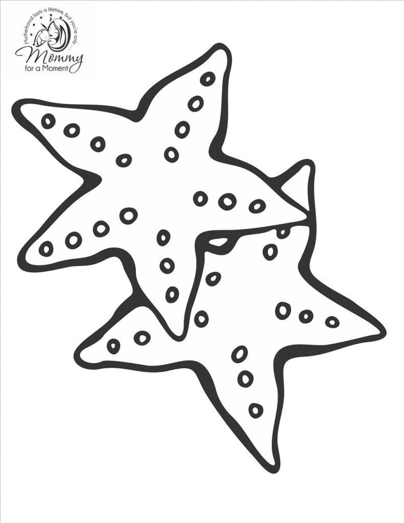 Starfish Coloring Page