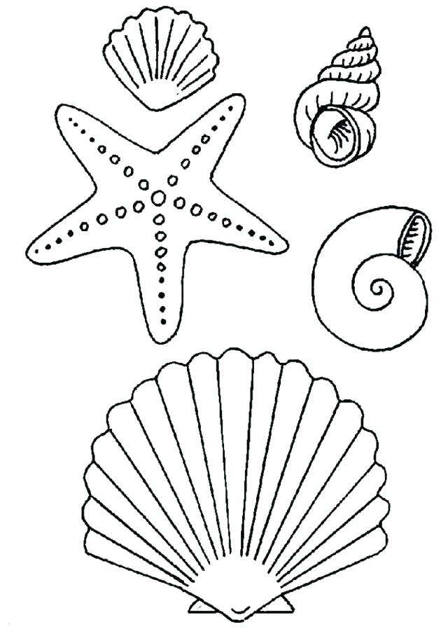 640x918 Sea Star Coloring Page Drawn Starfish Coloring Book Sea Star Sea