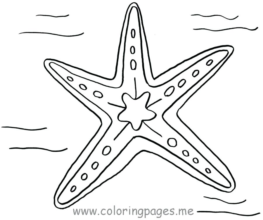 900x753 Star Fish Coloring Page Starfish A Starfish Coloring Page Patrick