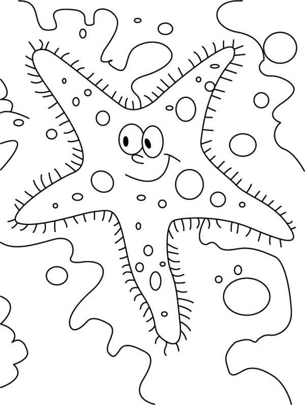 600x796 Starfish Coloring Pages For Kids