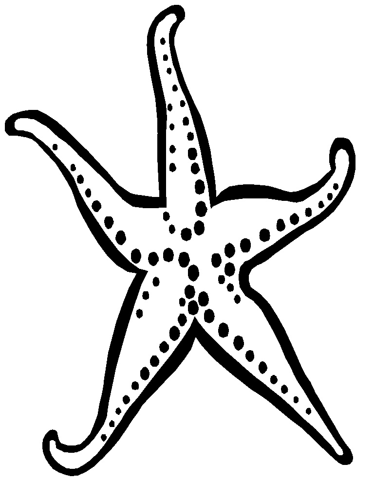 768x1024 Free Printable Starfish Coloring Pages For Kids
