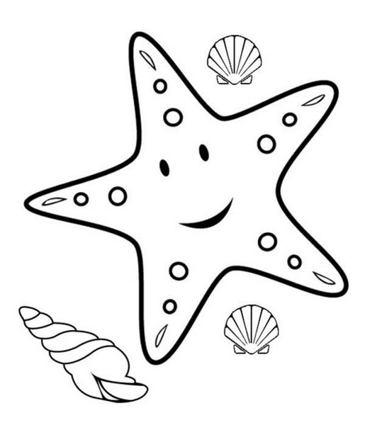 515x600 How To Color Starfish Coloring Sheet Starfish Coloring Pages