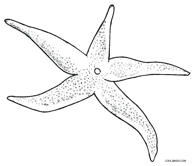 650x558 Sea Star Coloring Page Imposing Decoration Starfish Coloring Page