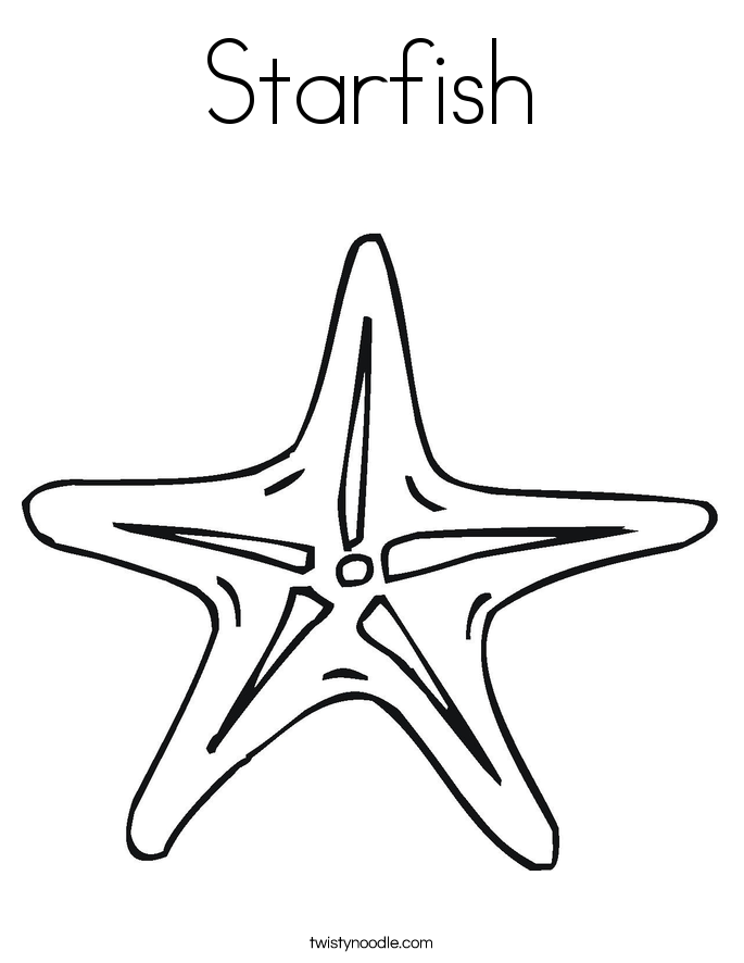 685x886 Starfish Coloring Page