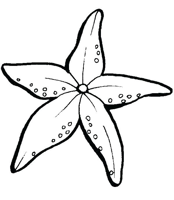 600x689 Starfish Coloring Page Drawn Starfish Coloring Page 4 Free