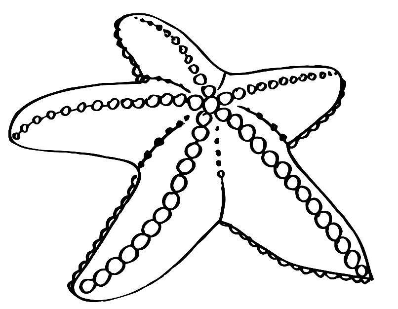 806x626 Starfish Coloring Pages To Download And Print For Free