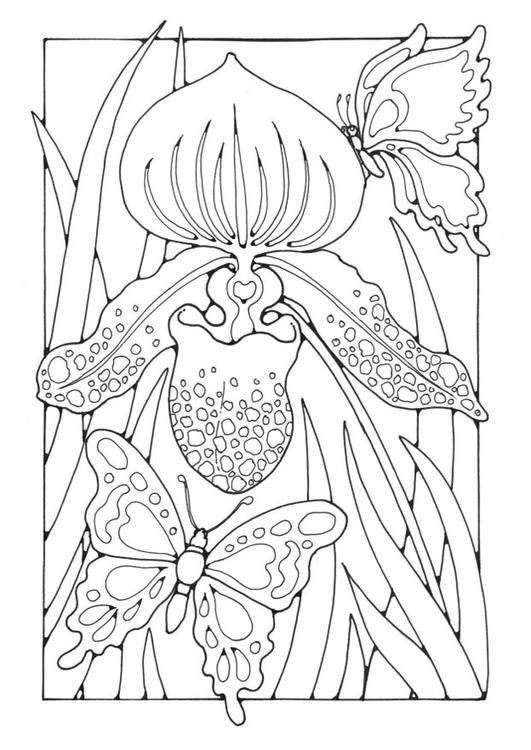 531x750 Lily With Butterflies Colouring Page Free @ Edupics