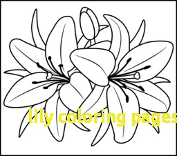 256x226 Lily Coloring Pages With Flowers Coloring Pages