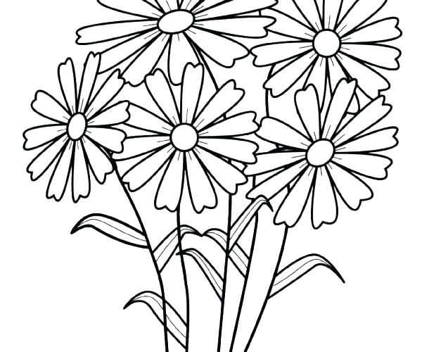 600x500 Lily Flower Coloring Pages Images To Color Download Flowers