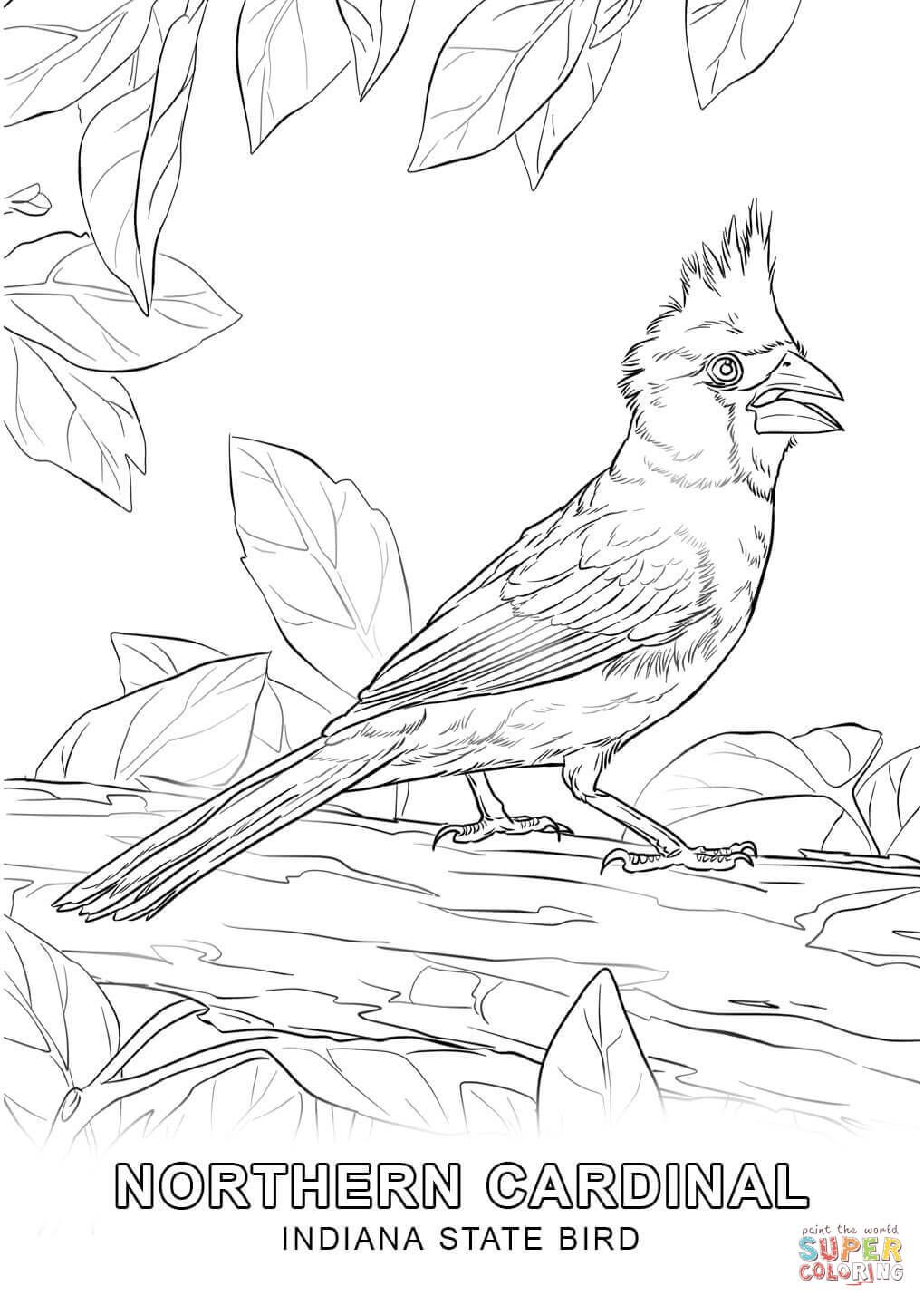 1020x1440 Click The Indiana State Bird Coloring Pages Coloring Book