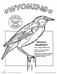 235x304 9 Elegant Arizona State Bird Coloring Page