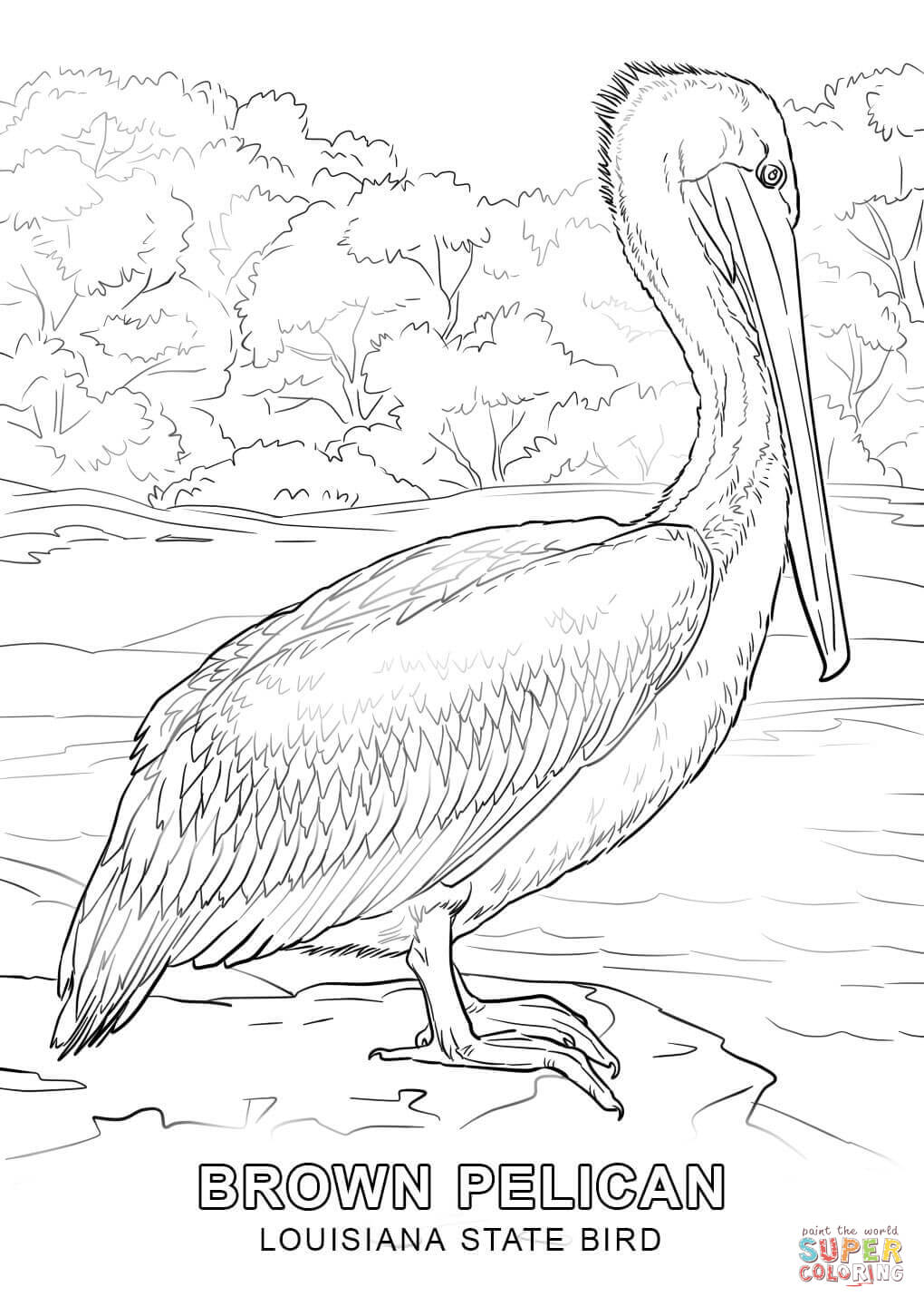 1020x1440 Obsession Idaho State Bird Coloring Page Louis