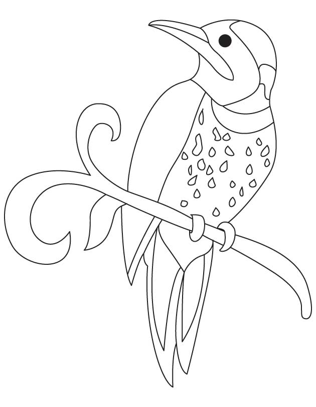 630x810 Alabama State Bird Coloring Page