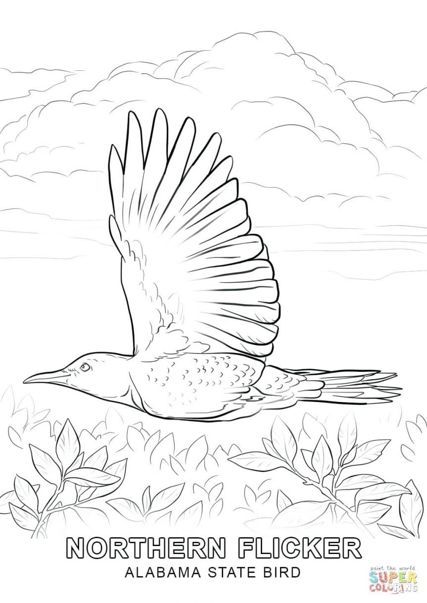 863x1218 Angry Birds Coloring Pages With Bird Page And Free Printables